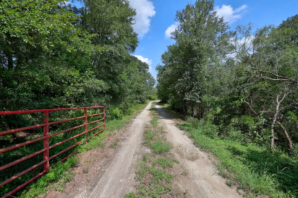 326 The Forest Road Dale, TX 78616