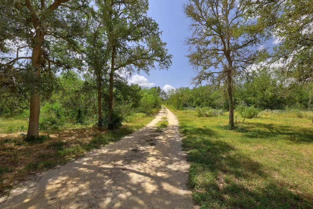 326 The Forest Road Dale, TX 78616
