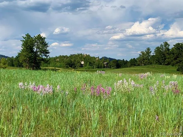 4 Fox Meadow Lane #Lot 4 Red Feather Lakes, CO 80545