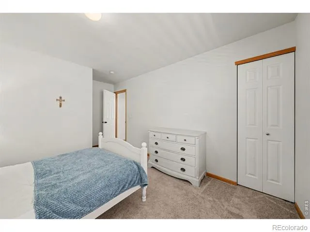 1143 Fairfield Avenue Windsor, CO 80550