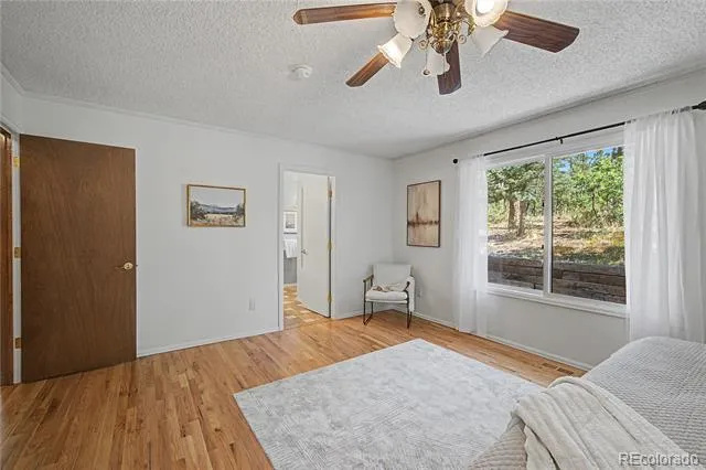 1250 Woodmoor Drive Monument, CO 80132