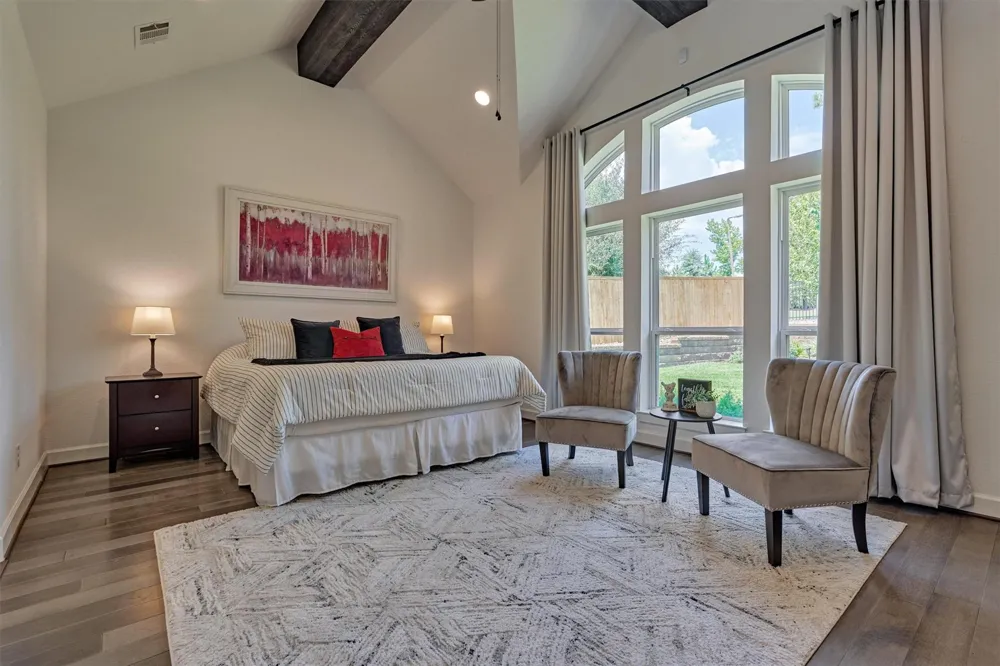 205 Patina Sorrel Drive Montgomery, TX 77316