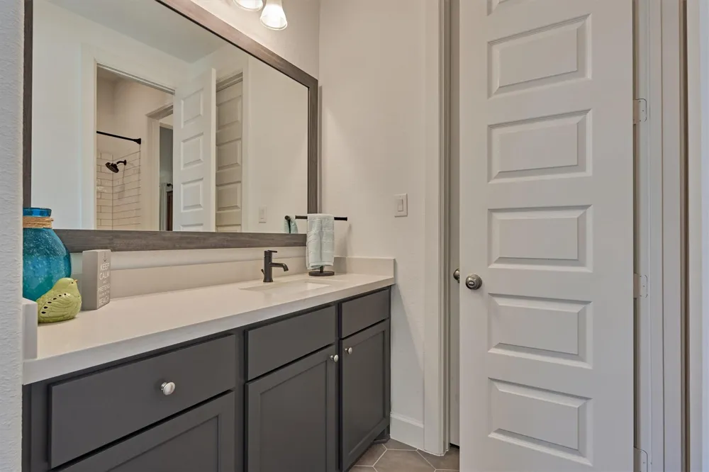 205 Patina Sorrel Drive Montgomery, TX 77316