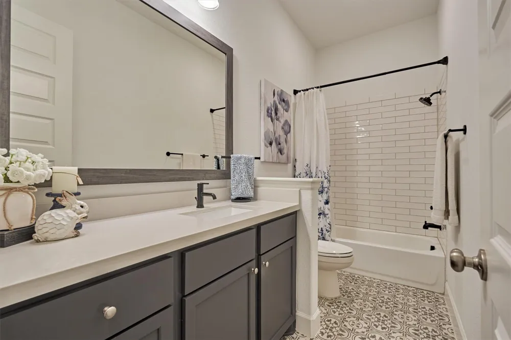 205 Patina Sorrel Drive Montgomery, TX 77316