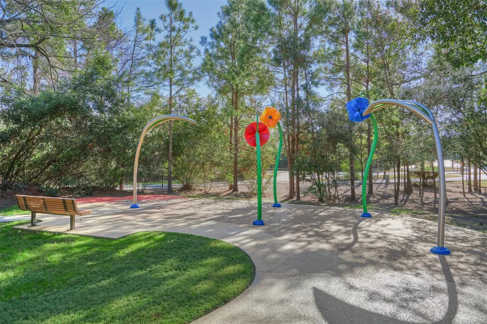 205 Patina Sorrel Drive Montgomery, TX 77316
