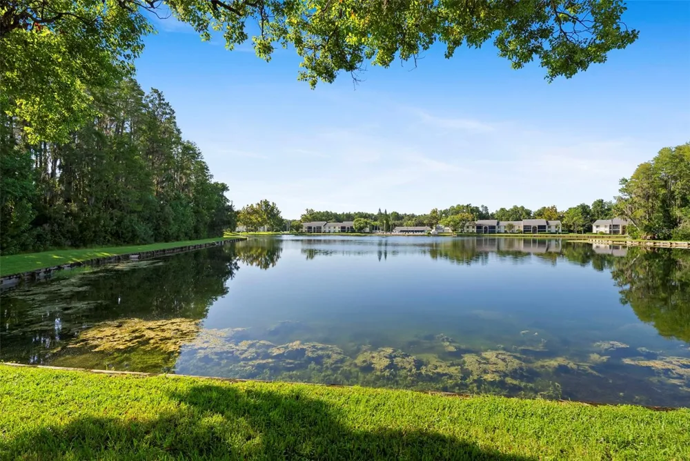 1423 PINE GLEN LANE #C1 Tarpon Springs, FL 34688