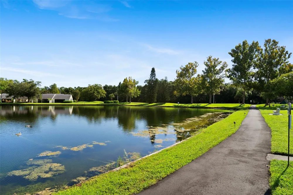 1423 PINE GLEN LANE #C1 Tarpon Springs, FL 34688