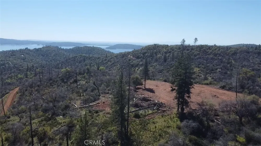 Dounacountre Berry Creek, CA 95916