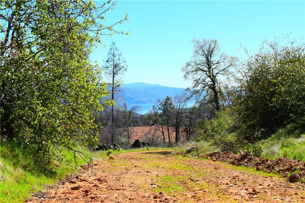 Dounacountre Berry Creek, CA 95916