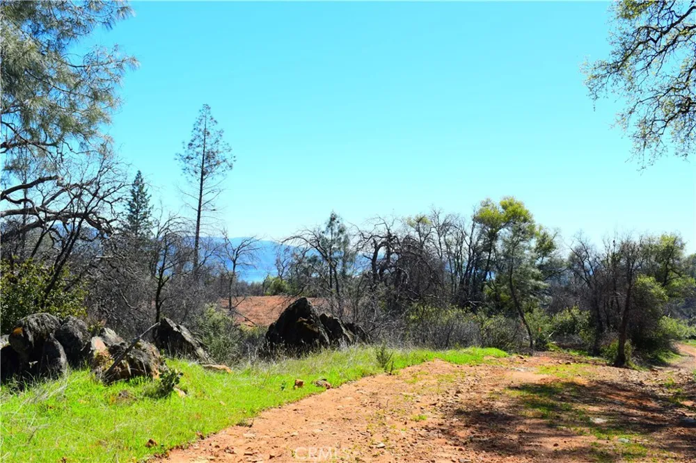 Dounacountre Berry Creek, CA 95916