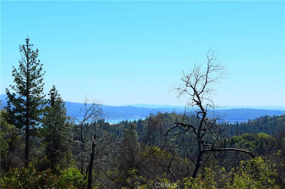Dounacountre Berry Creek, CA 95916
