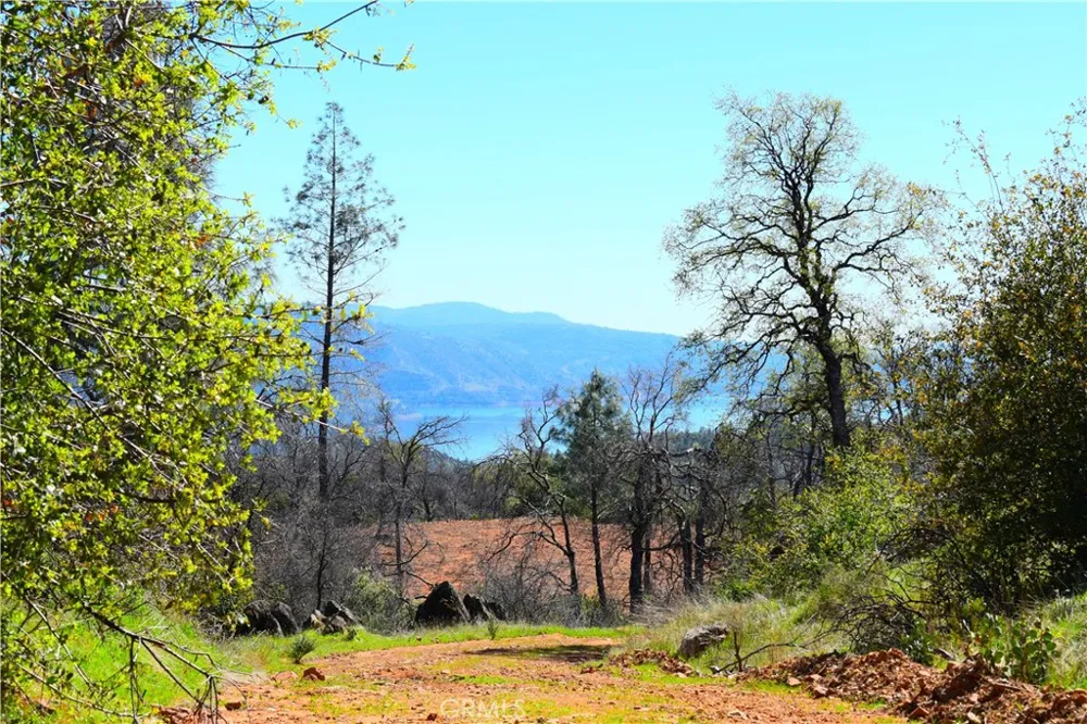 Dounacountre Berry Creek, CA 95916