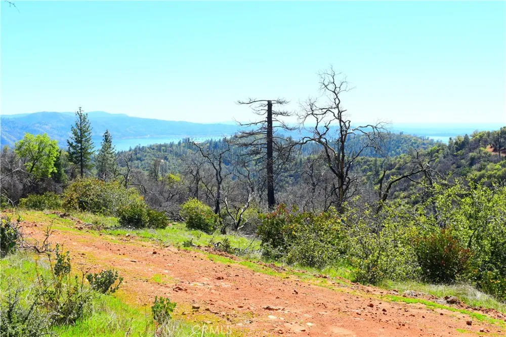 Dounacountre Berry Creek, CA 95916