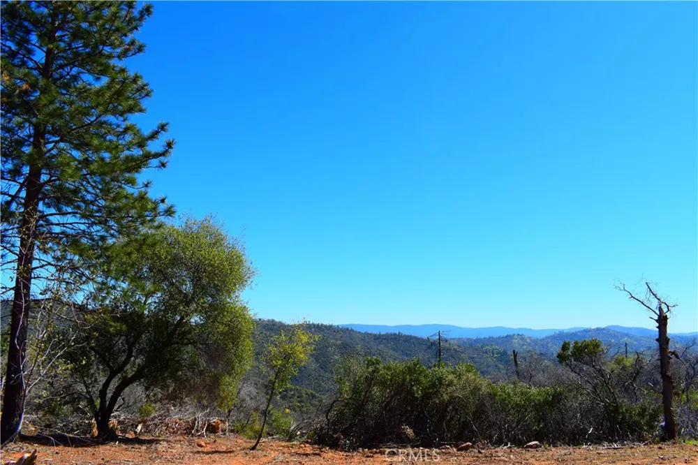 Dounacountre Berry Creek, CA 95916