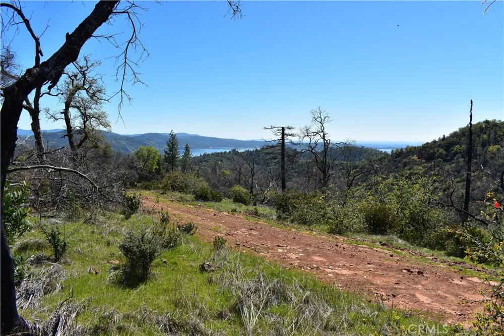 Dounacountre Berry Creek, CA 95916