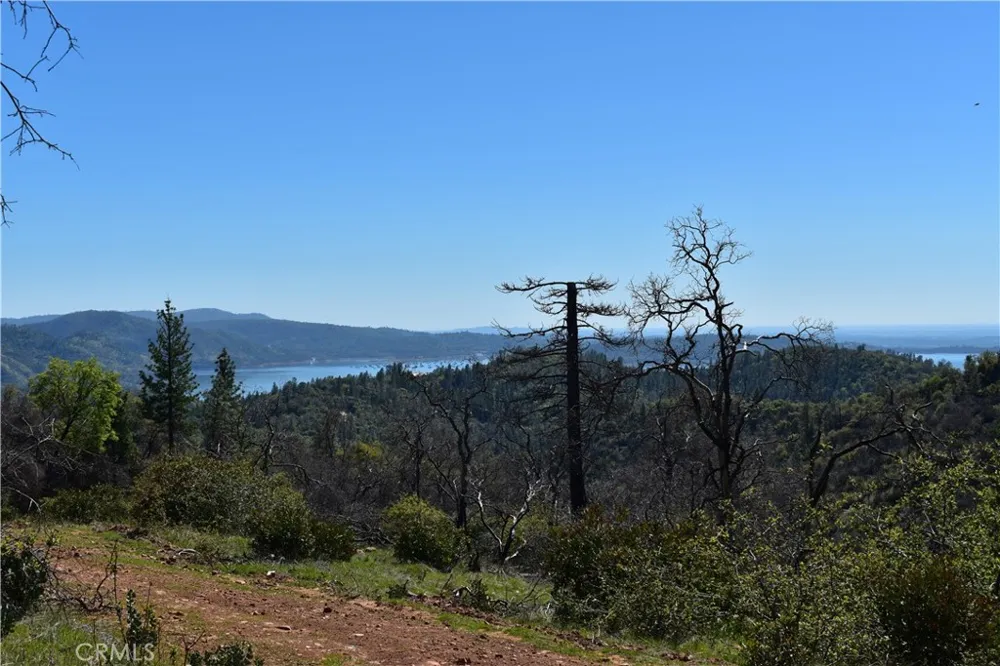 Dounacountre Berry Creek, CA 95916