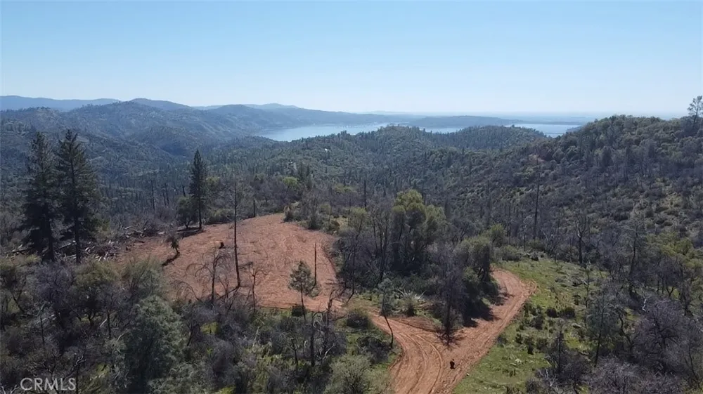 Dounacountre Berry Creek, CA 95916