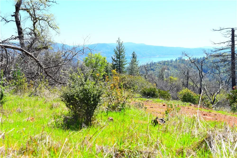Dounacountre Berry Creek, CA 95916