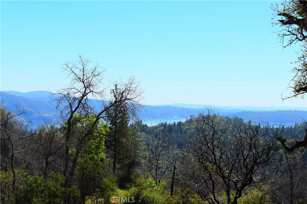 Dounacountre Berry Creek, CA 95916