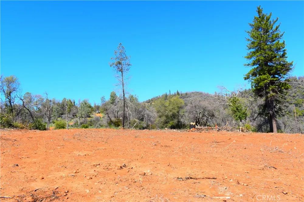 Dounacountre Berry Creek, CA 95916