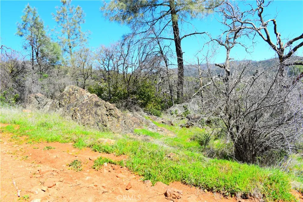 Dounacountre Berry Creek, CA 95916