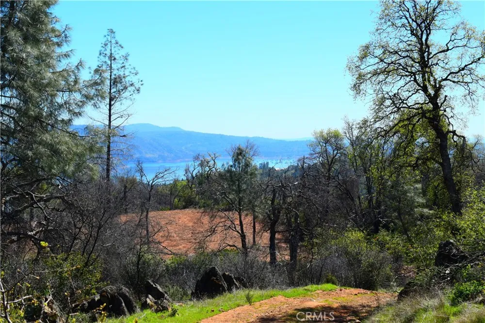 Dounacountre Berry Creek, CA 95916