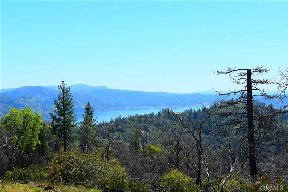 Dounacountre Berry Creek, CA 95916