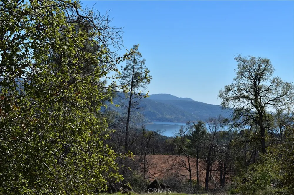 Dounacountre Berry Creek, CA 95916