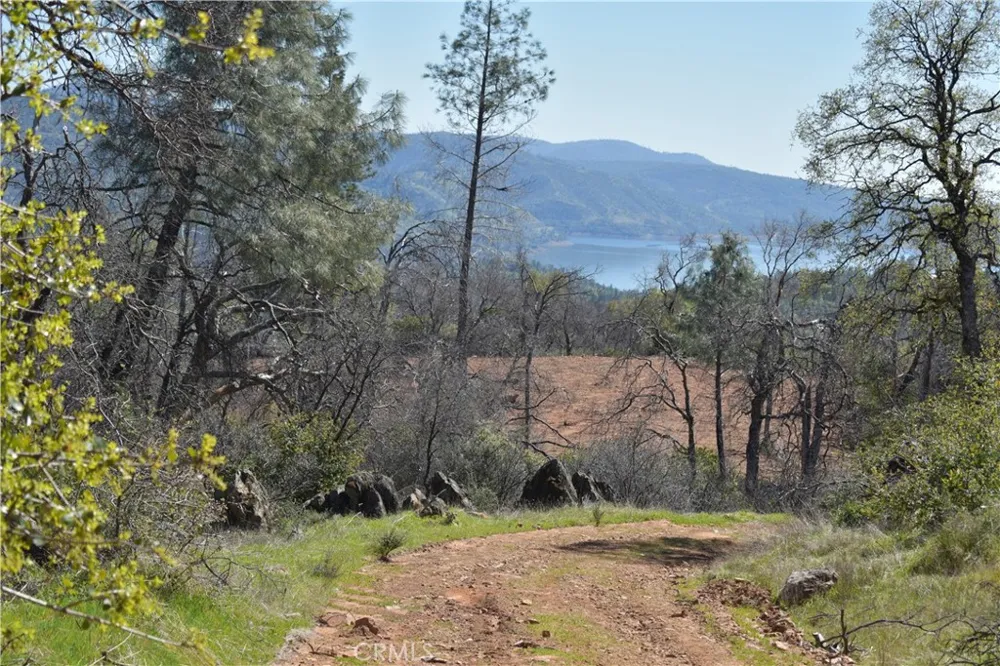 Dounacountre Berry Creek, CA 95916