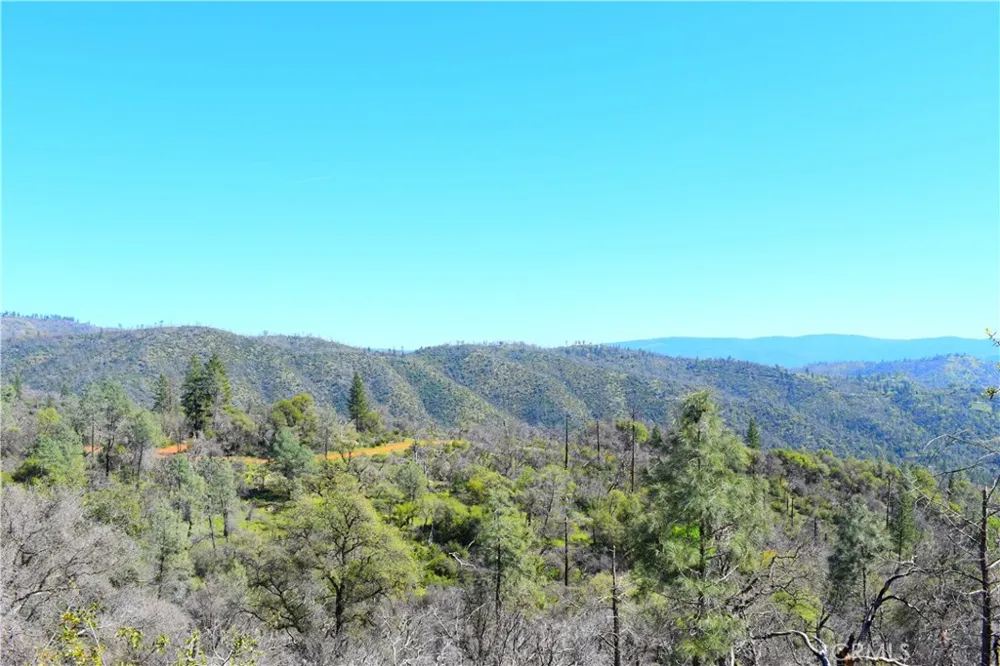 Dounacountre Berry Creek, CA 95916