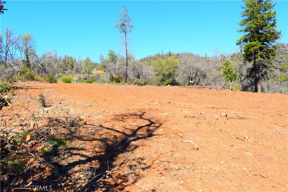 Dounacountre Berry Creek, CA 95916