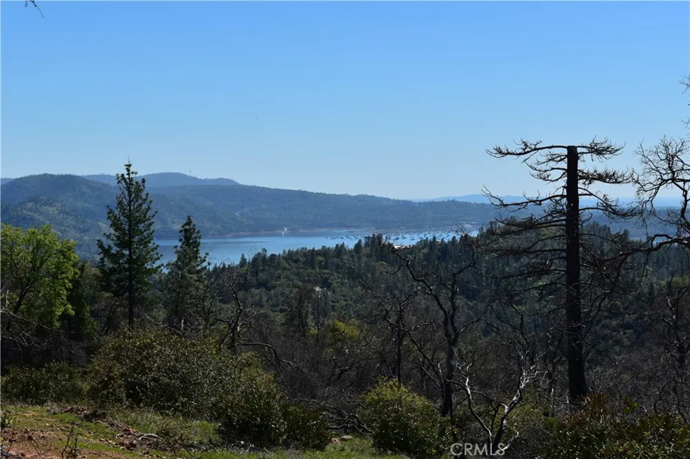 Dounacountre Berry Creek, CA 95916