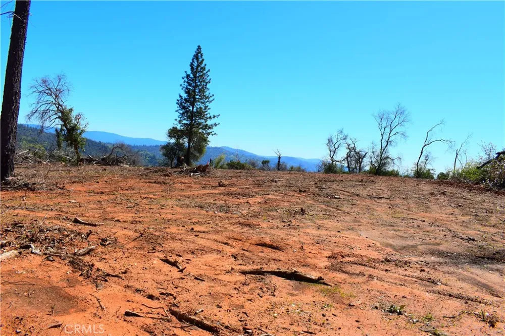 Dounacountre Berry Creek, CA 95916