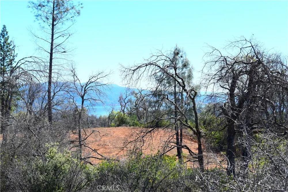 Dounacountre Berry Creek, CA 95916
