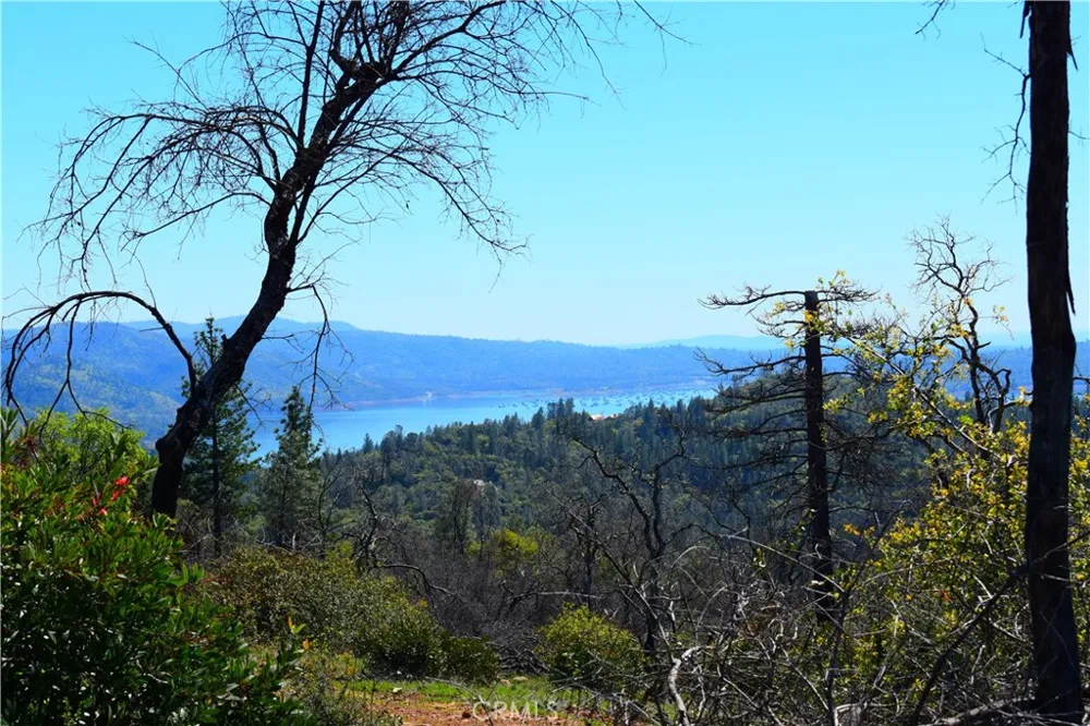 Dounacountre Berry Creek, CA 95916