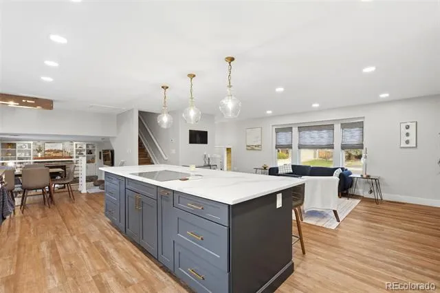 17238 E Berry Place Aurora, CO 80015