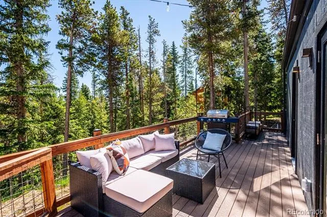 1633 Sinton Road Evergreen, CO 80439