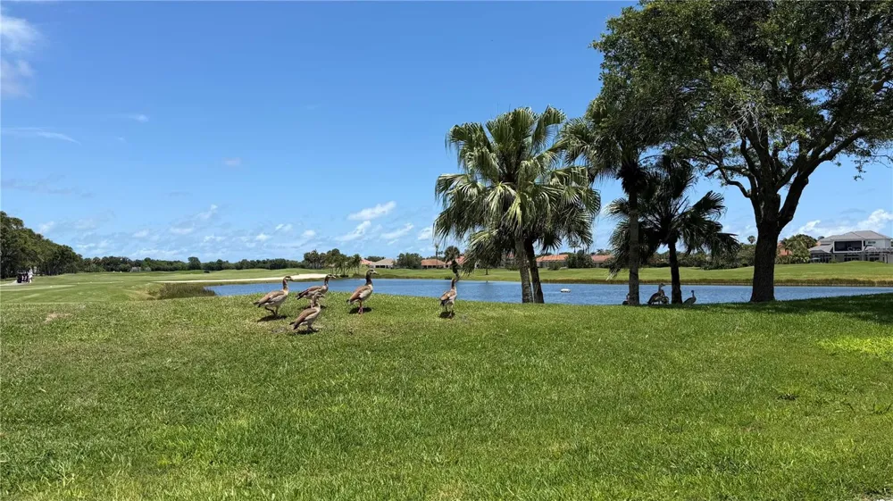 1330 SAINT CATHERINES CIRCLE Vero Beach, FL 32967