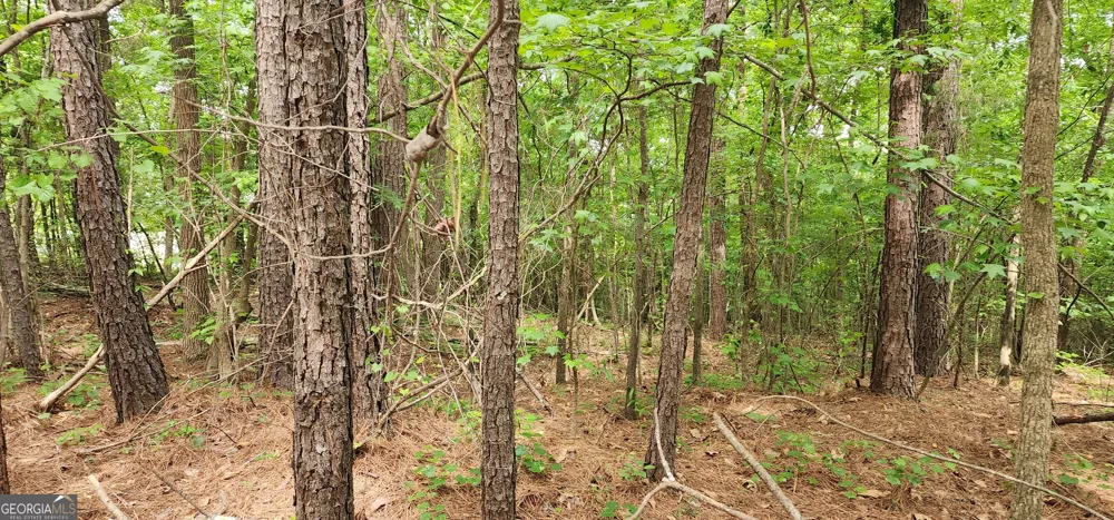 0 Rabbit Farm RD Loganville, GA 30052