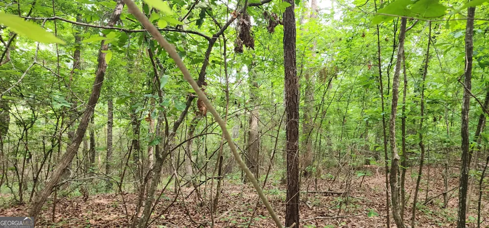 0 Rabbit Farm RD Loganville, GA 30052