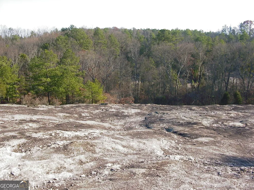 0 Rabbit Farm RD Loganville, GA 30052