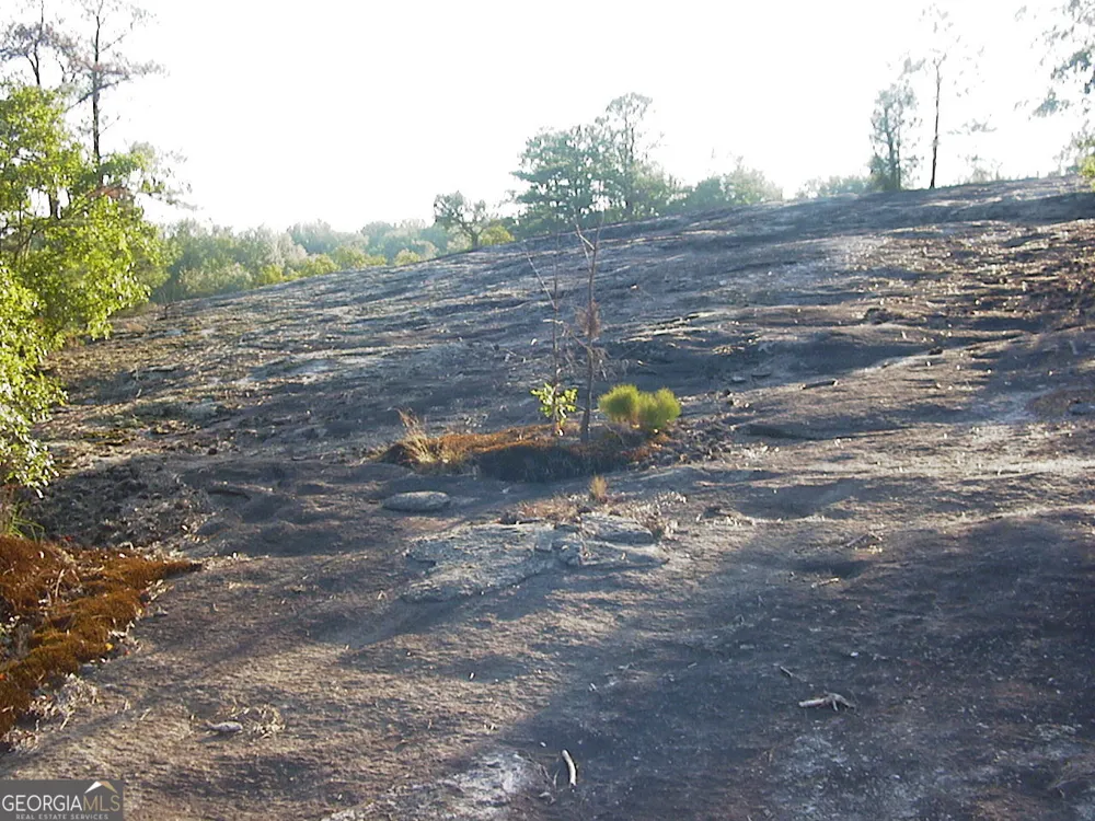 0 Rabbit Farm RD Loganville, GA 30052