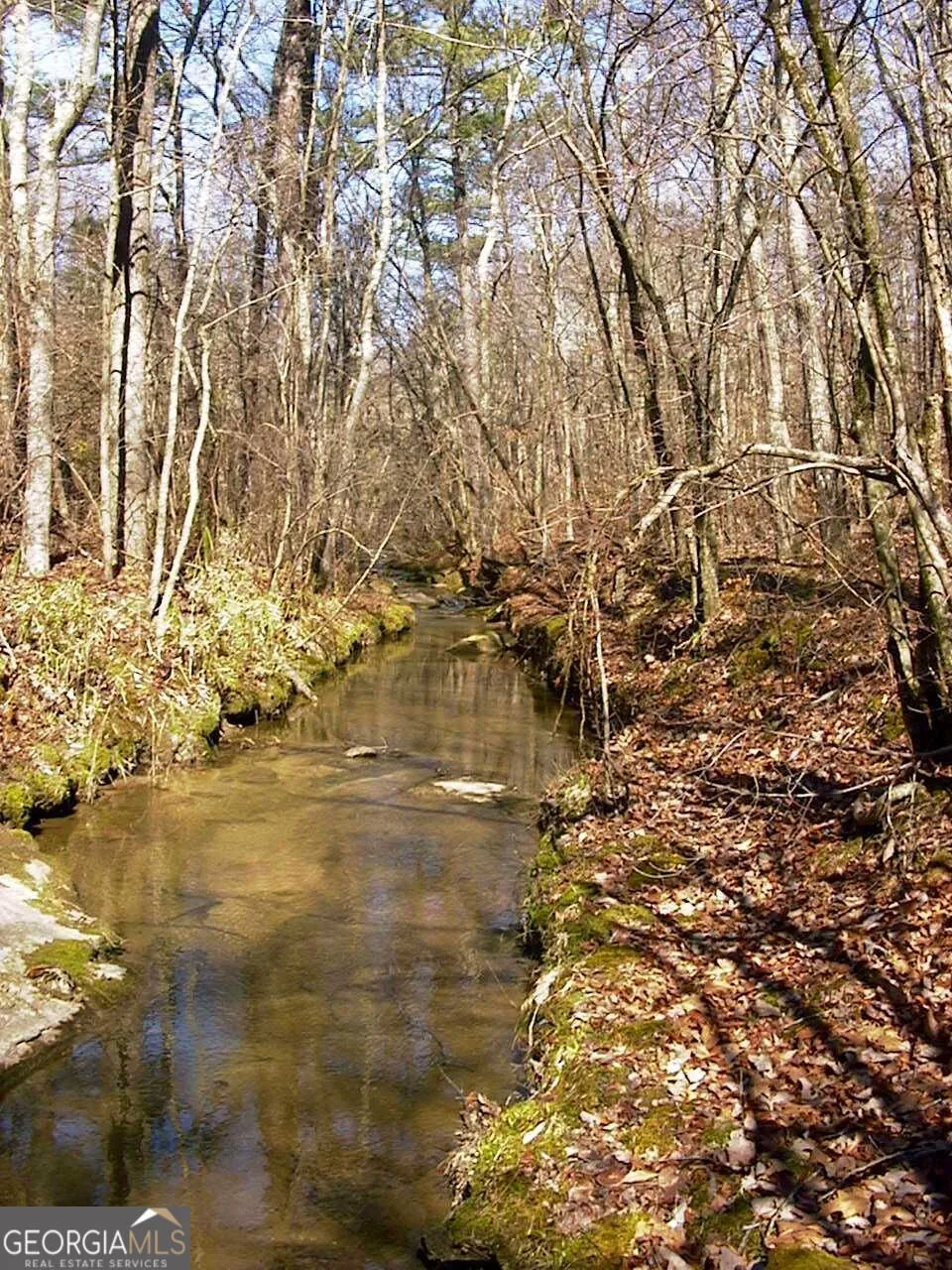 0 Rabbit Farm RD Loganville, GA 30052