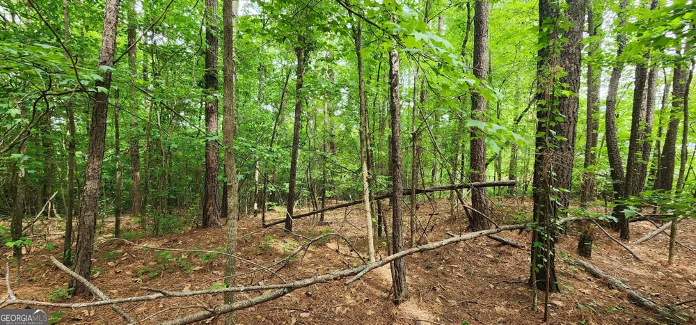0 Rabbit Farm RD Loganville, GA 30052