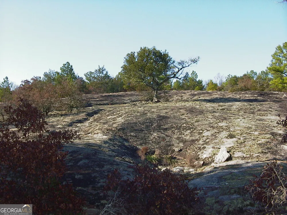 0 Rabbit Farm RD Loganville, GA 30052