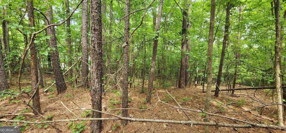 0 Rabbit Farm RD Loganville, GA 30052