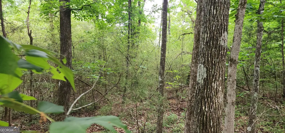 0 Rabbit Farm RD Loganville, GA 30052