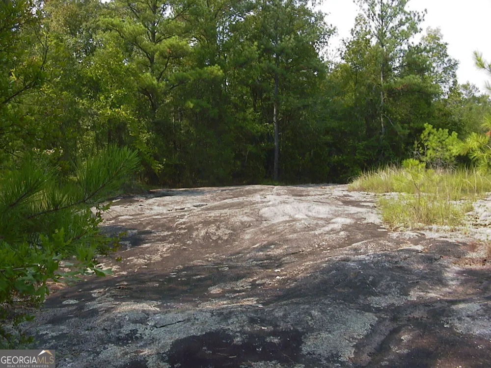 0 Rabbit Farm RD Loganville, GA 30052