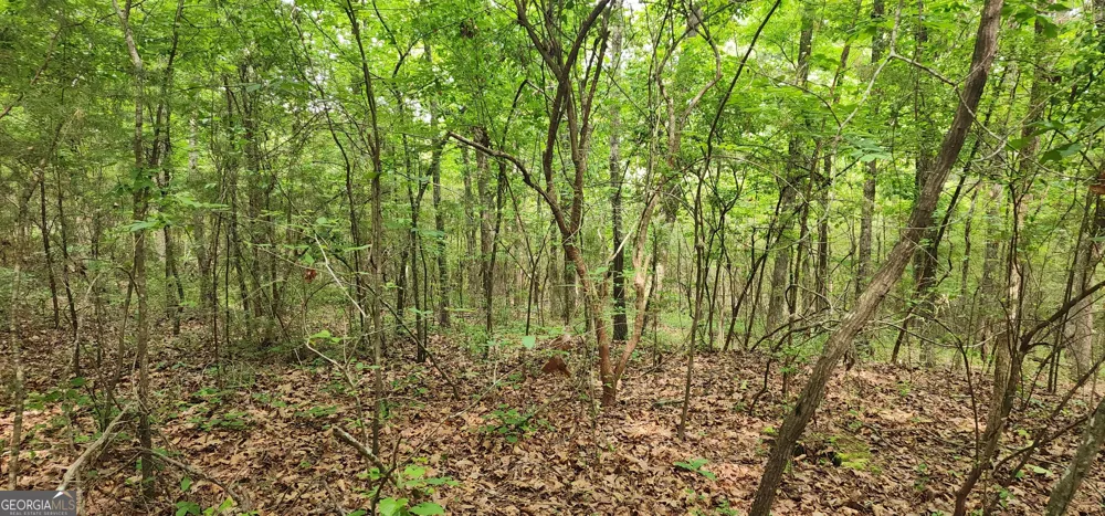 0 Rabbit Farm RD Loganville, GA 30052
