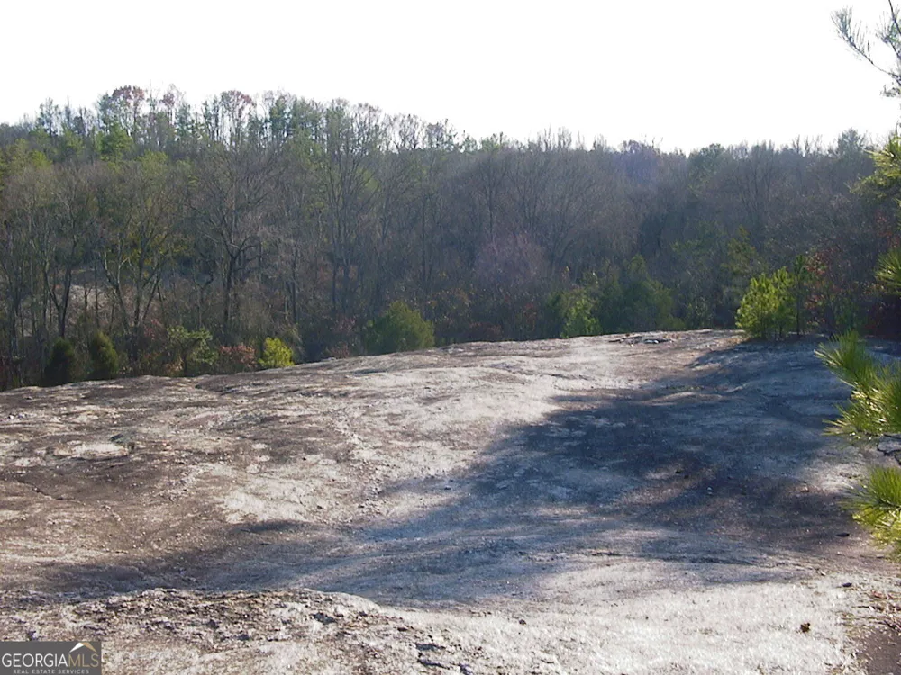 0 Rabbit Farm RD Loganville, GA 30052